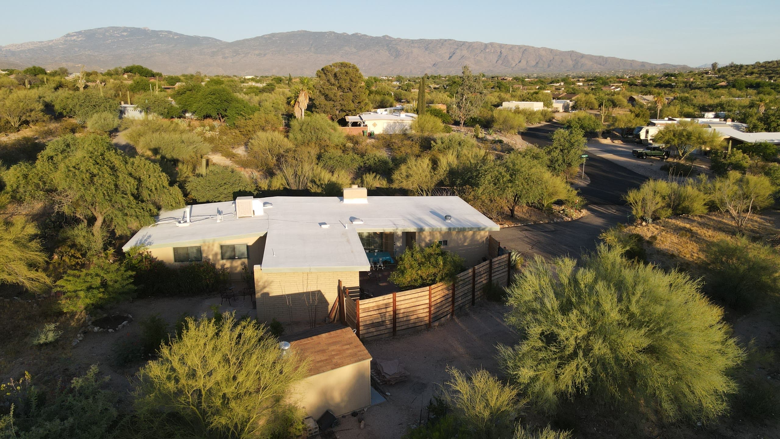 Flat-roof home with a fenced patio among palo verde trees
