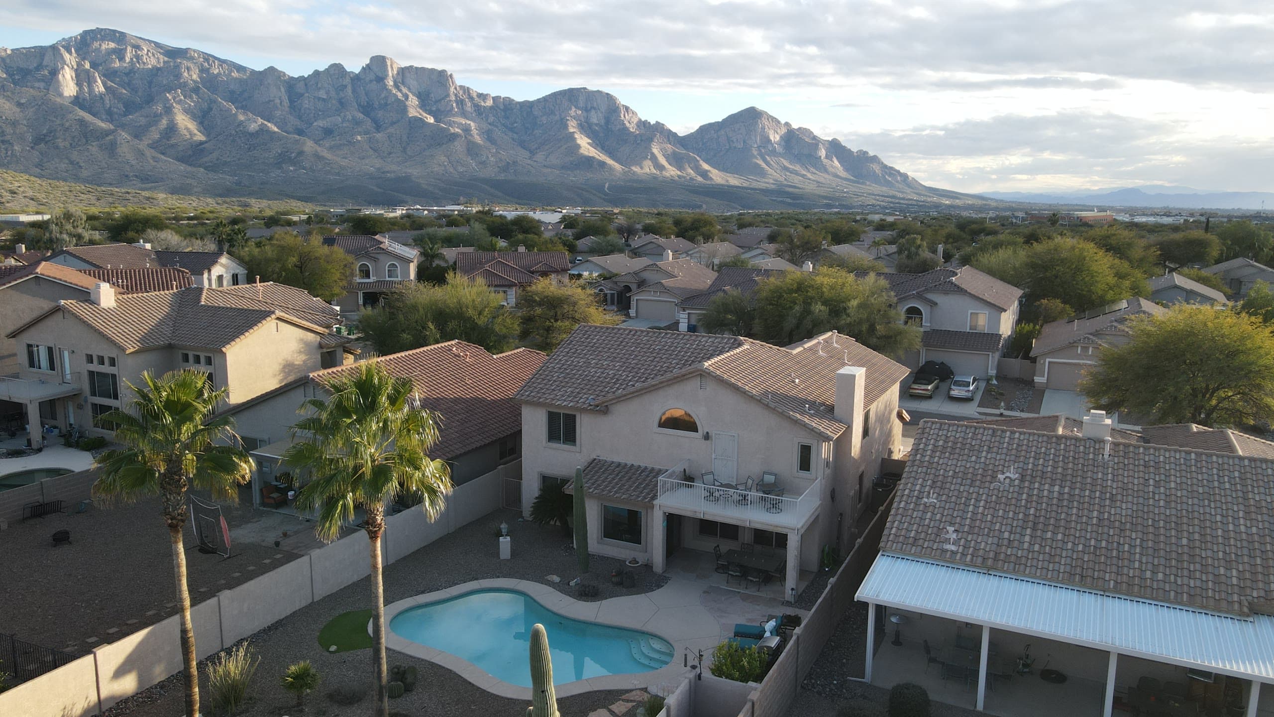 Backyard pool framed by palm trees with Pusch Ridge filling the sky