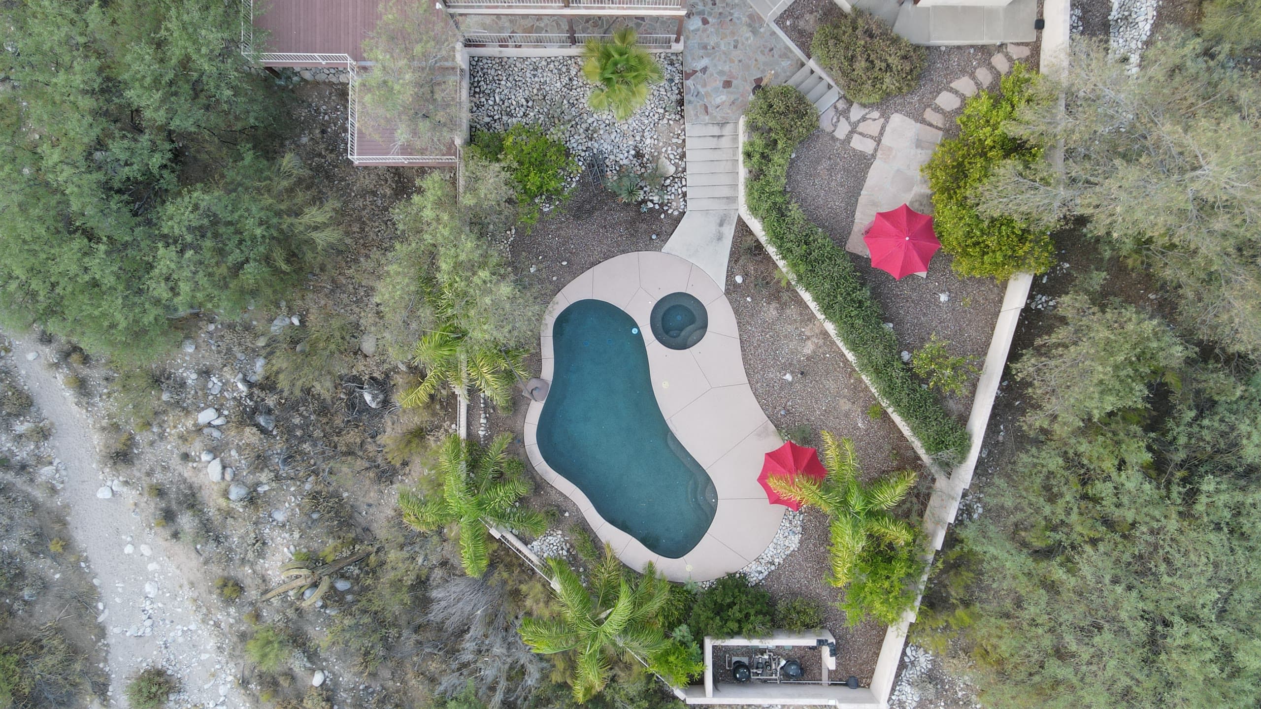 Overhead view of a pool with palms and red umbrellas on a hillside lot