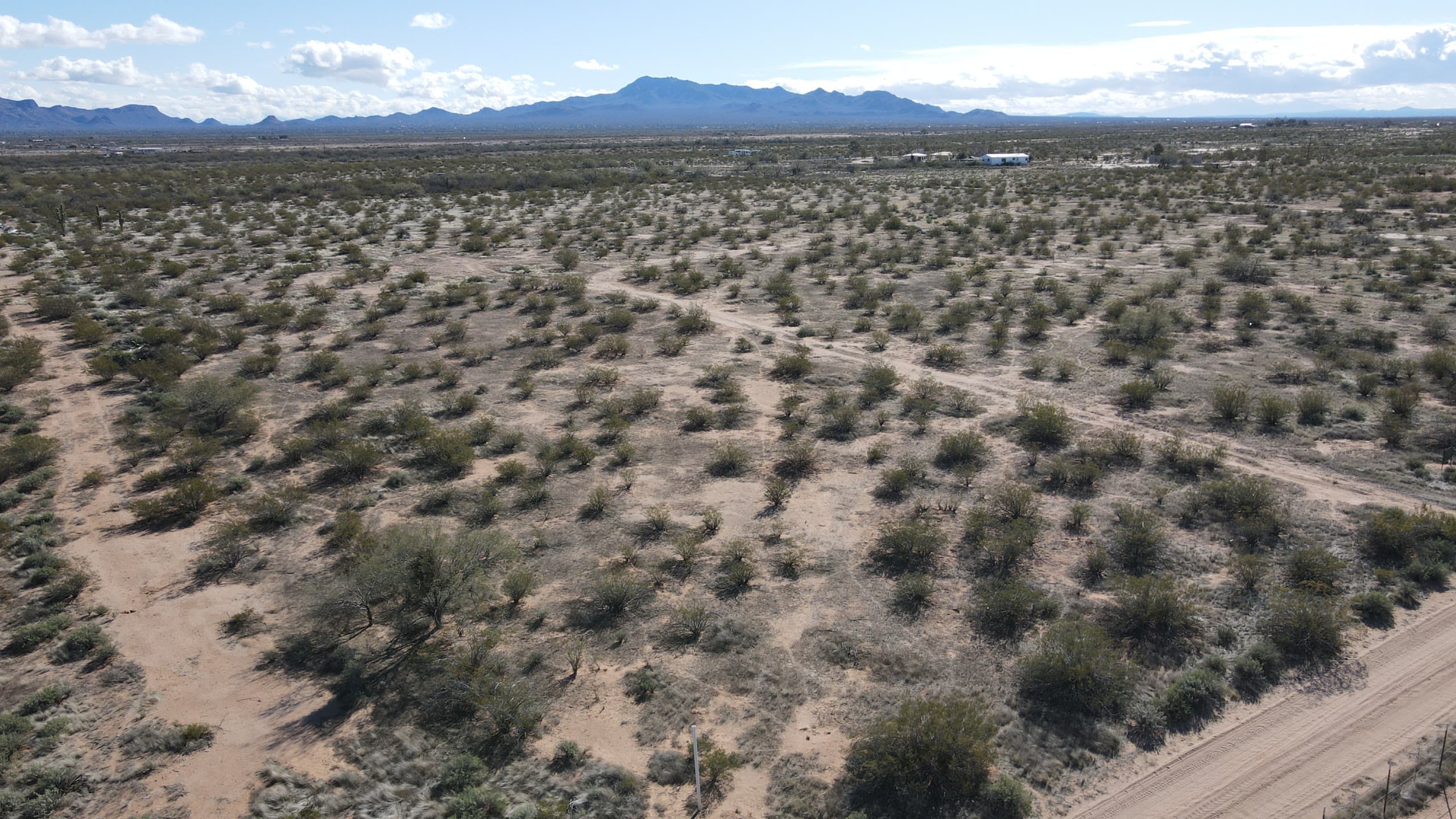 Undeveloped desert land with a dirt road along one edge
